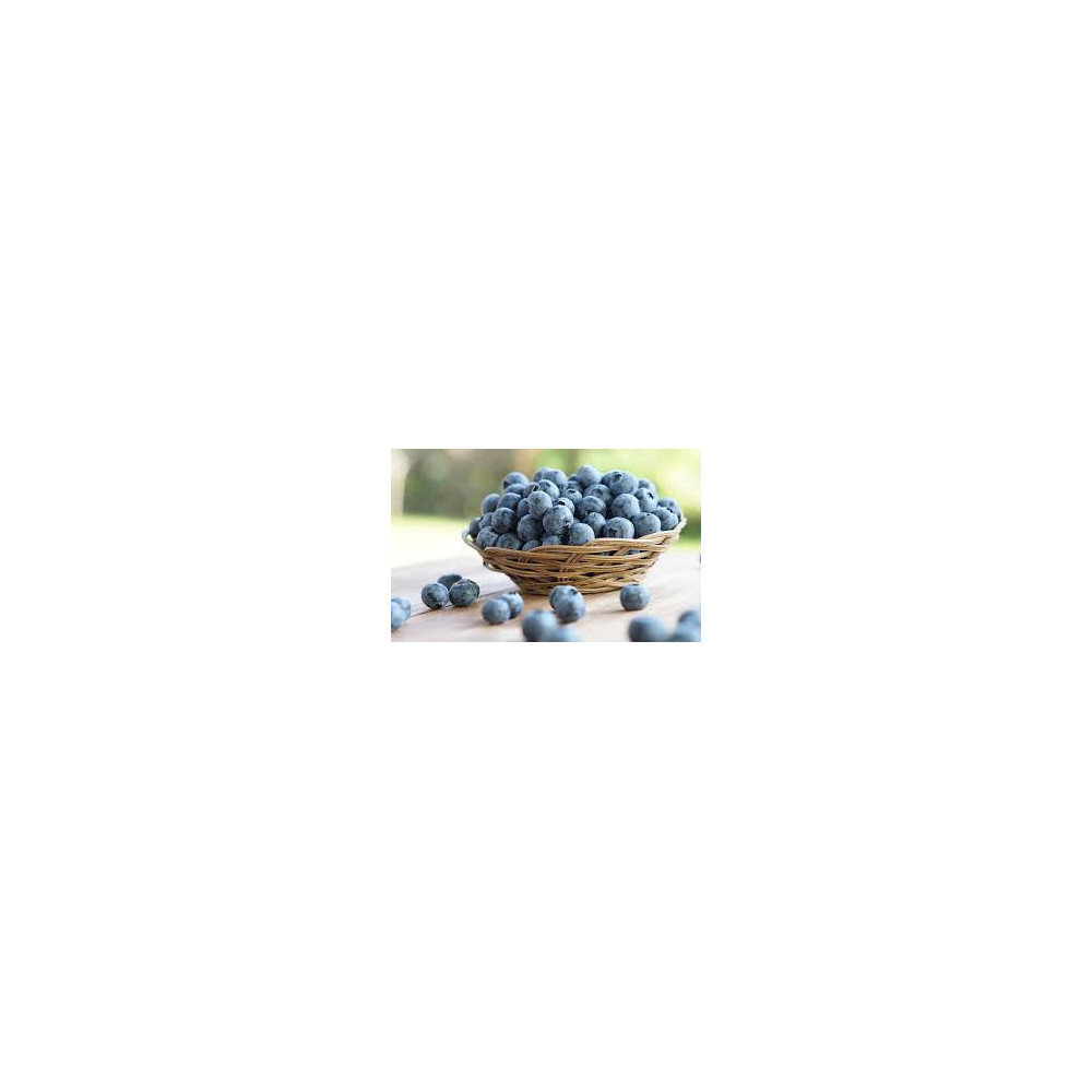 Arándano Azul - Estuche 125grms