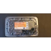 Arándano Azul Jumbo - Estuche 125grms