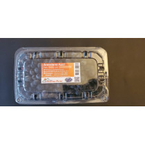 Arándano Azul Jumbo - Estuche 125grms
