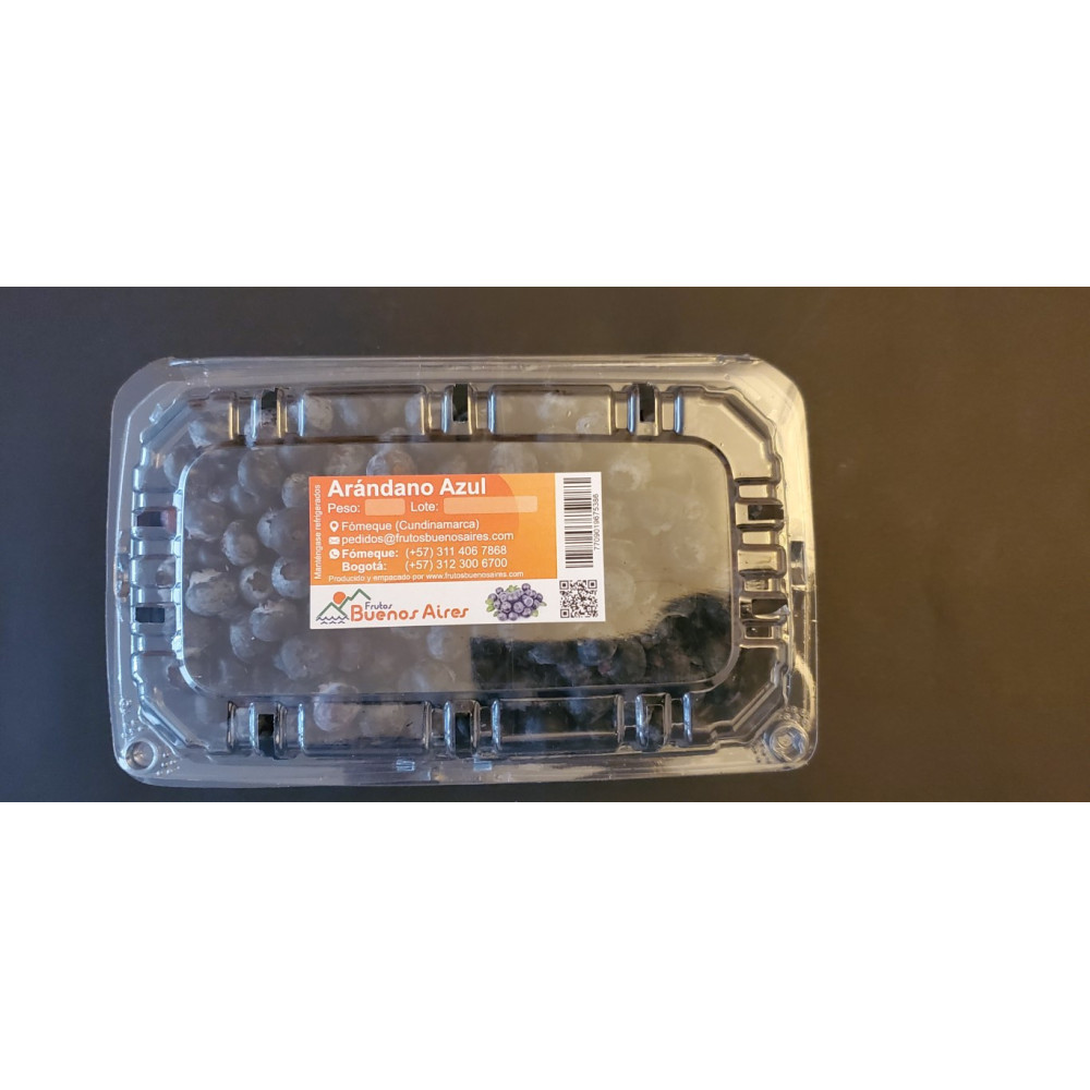Arándano Azul Jumbo - Estuche 125grms
