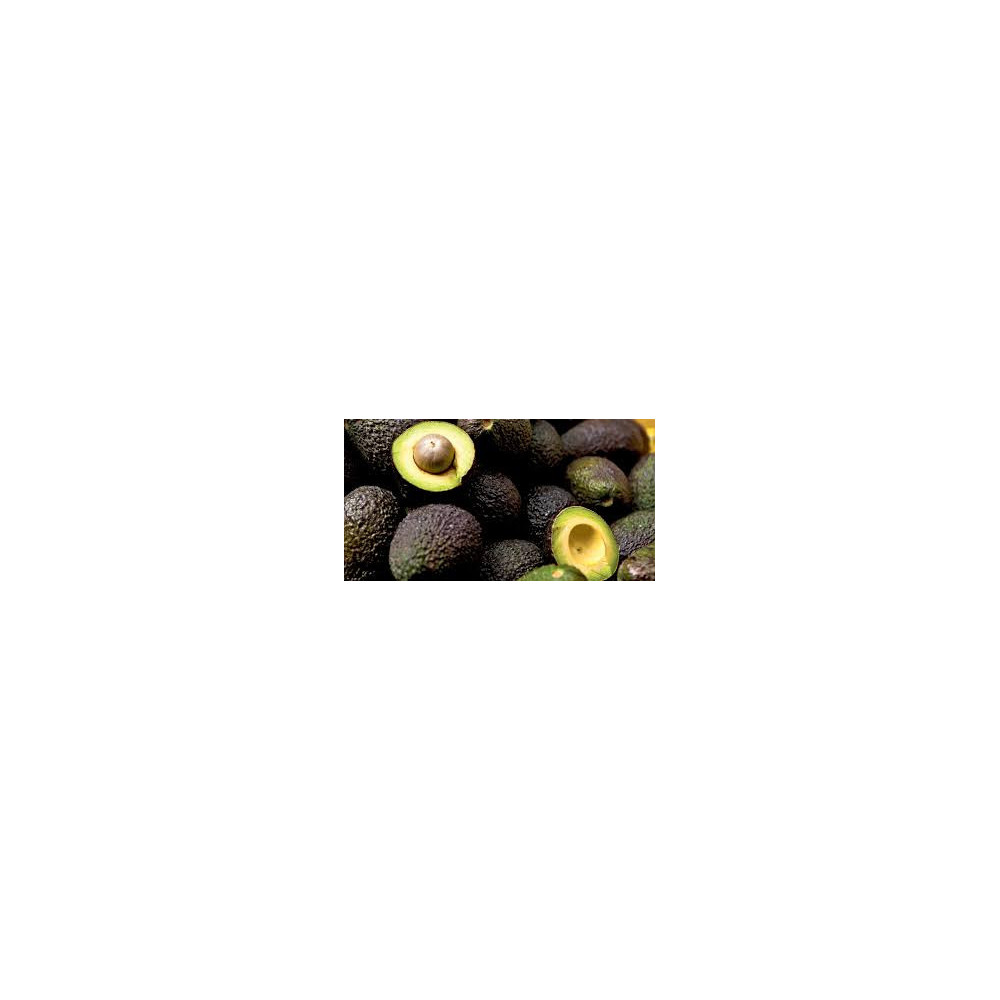 Aguacate Hass - Kilo