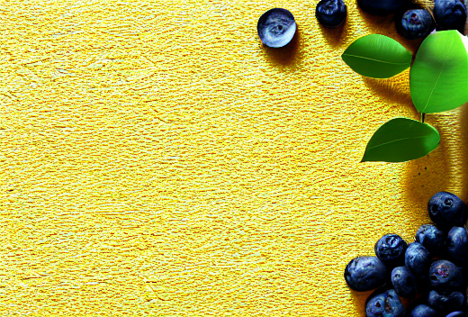 cms-banner1